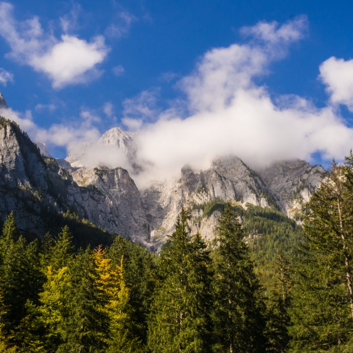 Durch die hohe&nbsp;Tatra