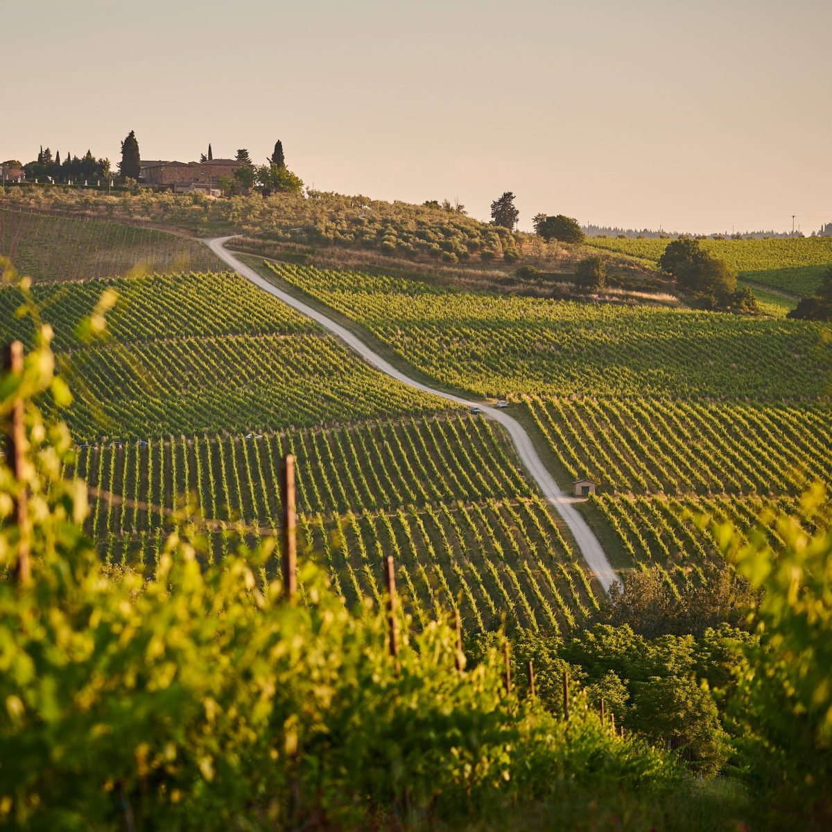 Auf Maultierpfaden durch einen unbekannten Teil der&nbsp;Toskana