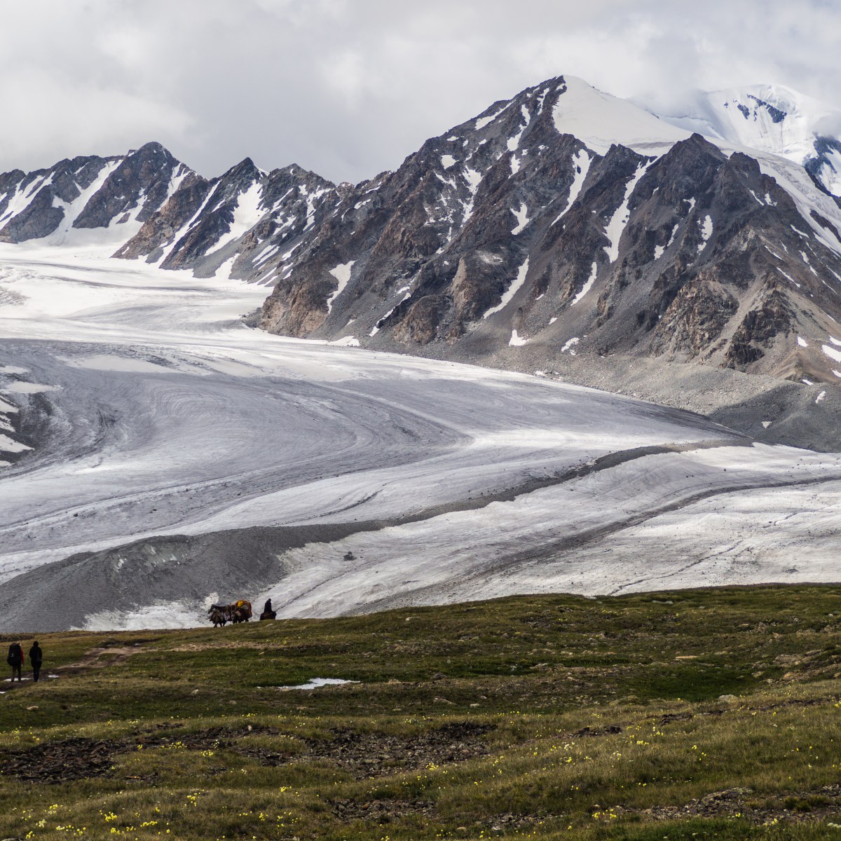 Mongolei: Expedition ins&nbsp;Altaigebirge