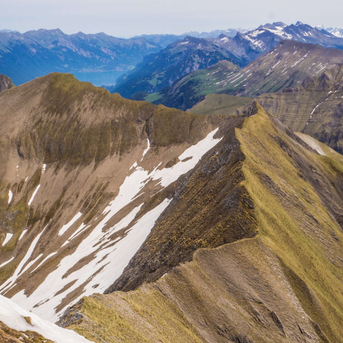 Über den Brienzer&nbsp;Grat